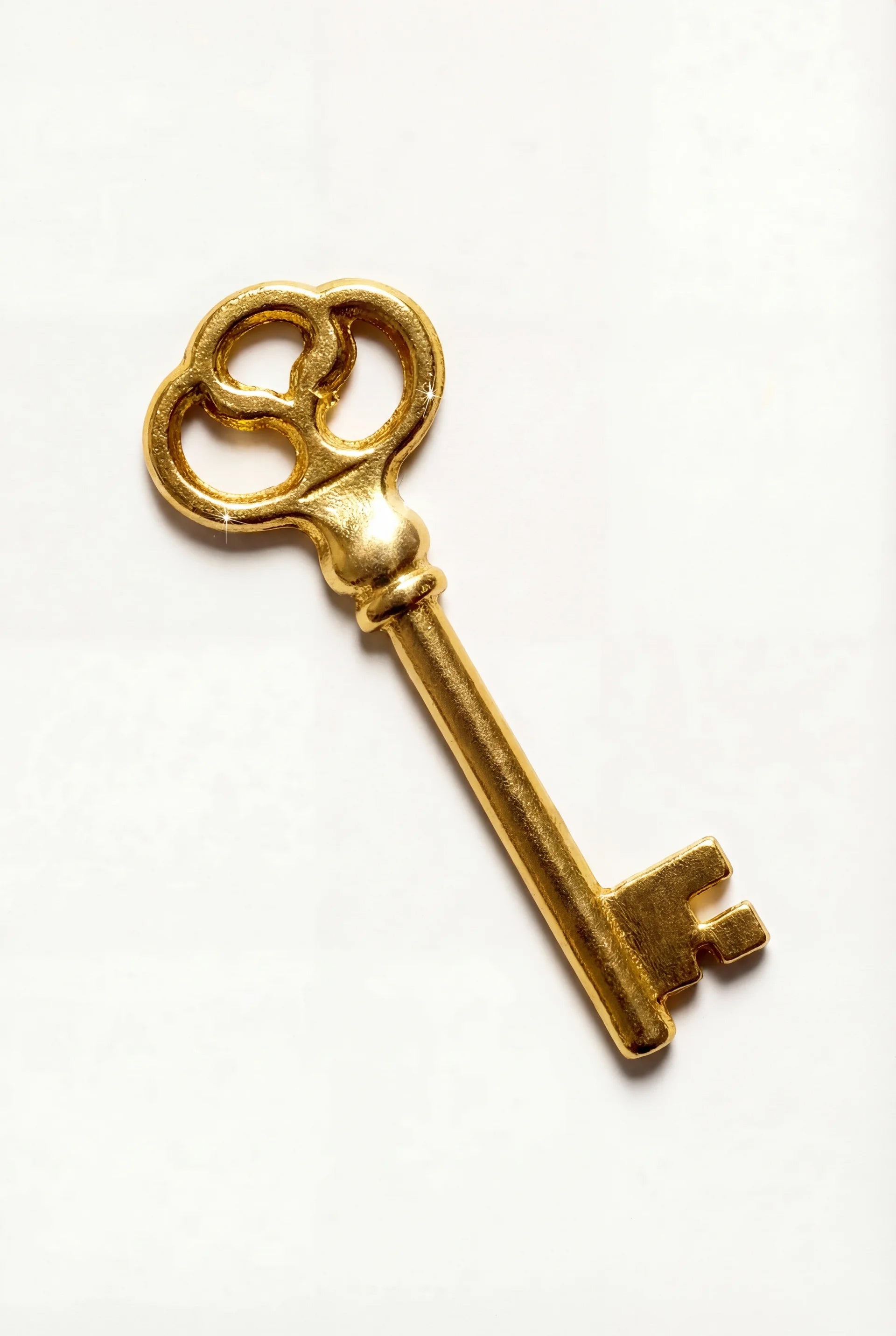 Wealth Key Manifestation Symbol - Manifesto Studio